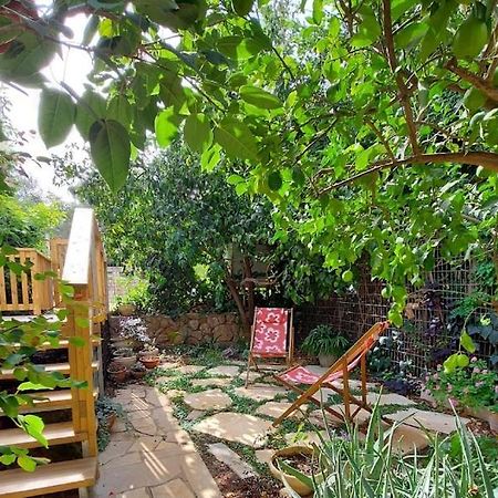 Maple'S Place - אירוח מייפל Rosh Pinna Esterno foto