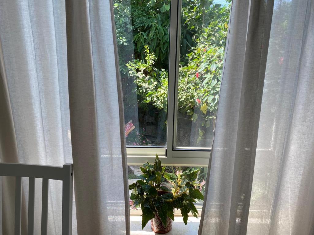 Maple'S Place - אירוח מייפל Rosh Pinna Esterno foto